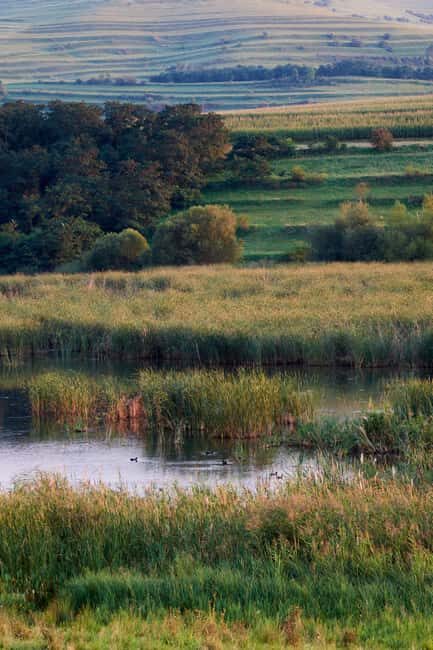 Cluj: Private Nature and Wildlife Photography Class - Key Points