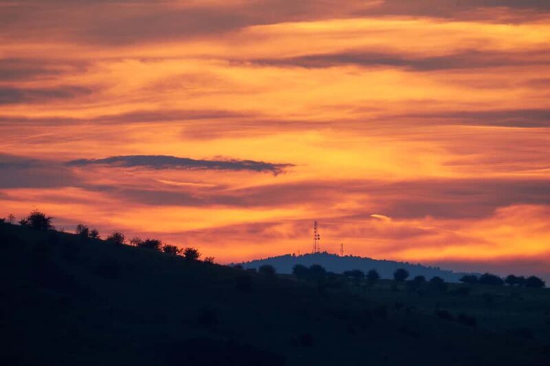 Cluj: Private Nature and Wildlife Photography Class - Is This Experience Worth It?