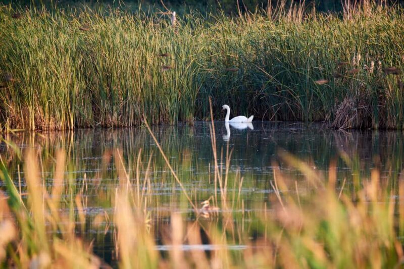 Cluj: Private Nature and Wildlife Photography Class - FAQs