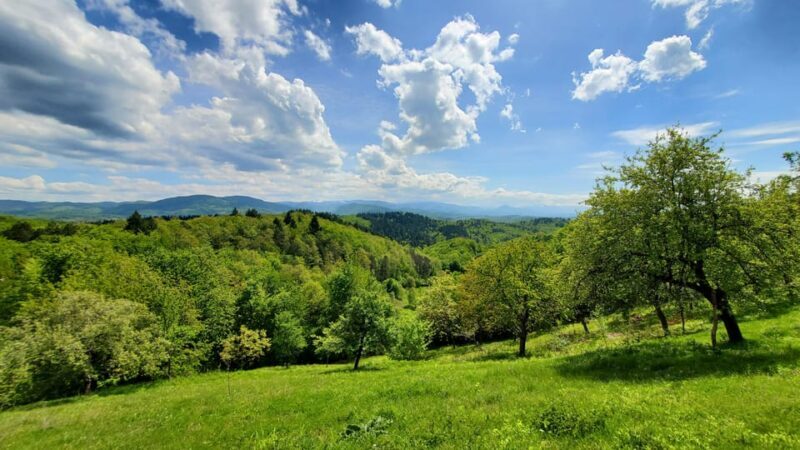 Cluj to Rosia: Day Trip to Ferrata and pittoresque country - Key Points