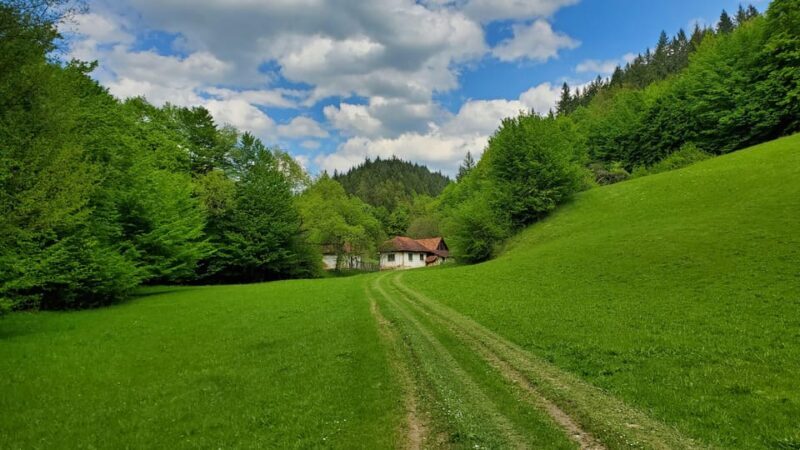 Cluj to Rosia: Day Trip to Ferrata and pittoresque country - Exploring the Length and Breadth of the Experience