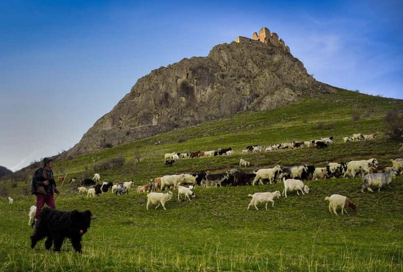 Cluj: Turda Salt Mines, Rimetea, and Coltesti Fortress Tour - Who Will Love This Tour?