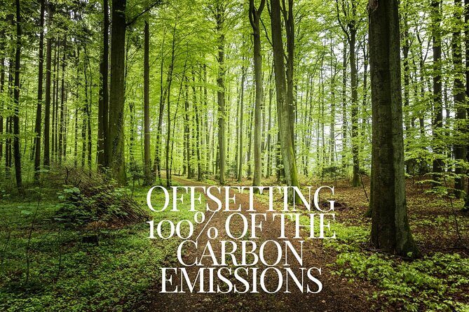 CO2-Offset Departure from Vilnius City to Vilnius VNO airport - Final Thoughts on Who Its Ideal For