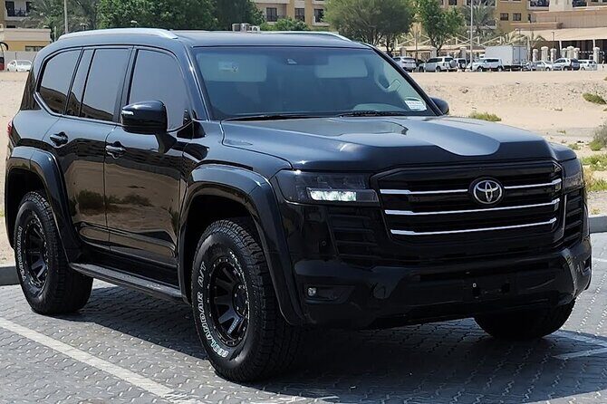 CO2-Offset Private Departure from Vilnius city to Vilnius Airport - Key Points