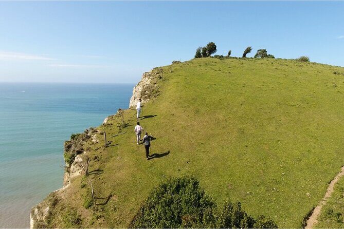 Coast, fish and txakoli wine - Practical Details and What You Should Know