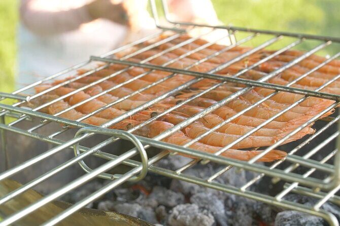 Coast, fish and txakoli wine - Final Thoughts