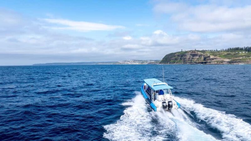 Coastal 2.5-hour Adventure Boat Tour from Newcastle - The Experience in Detail