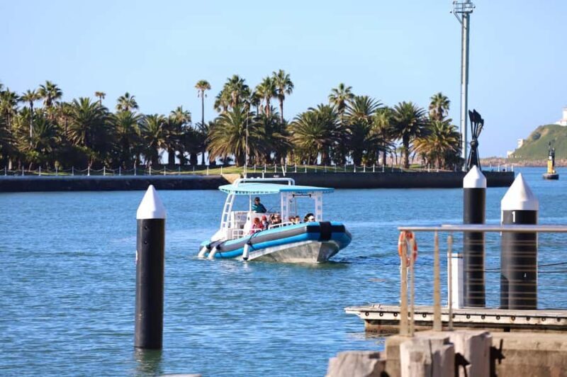Coastal 2.5-hour Adventure Boat Tour from Newcastle - Who Will Love This Tour?