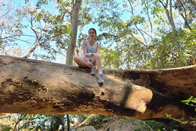 Coastal and Jungle Hiking Tour along 6 Beaches of Puerto Vallarta - What to Expect During the Hike