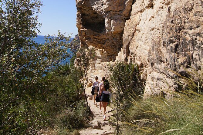 Coastal Cliffs & Beaches: Private Full Day Tour - The Sum Up: Who Will Love This Tour?