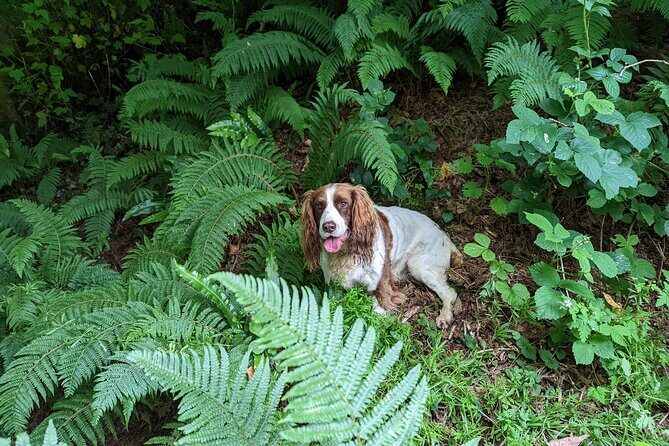 Coastal Foraging and Folklore Tour - Group Size and Atmosphere