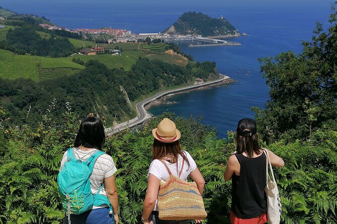 Coastal "Winery Camino Trail" Walking Tour from San Sebastian - Key Points