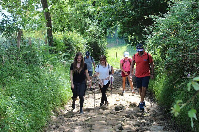 Coastal "Winery Camino Trail" Walking Tour from San Sebastian - Final Thoughts: Is This Tour for You?