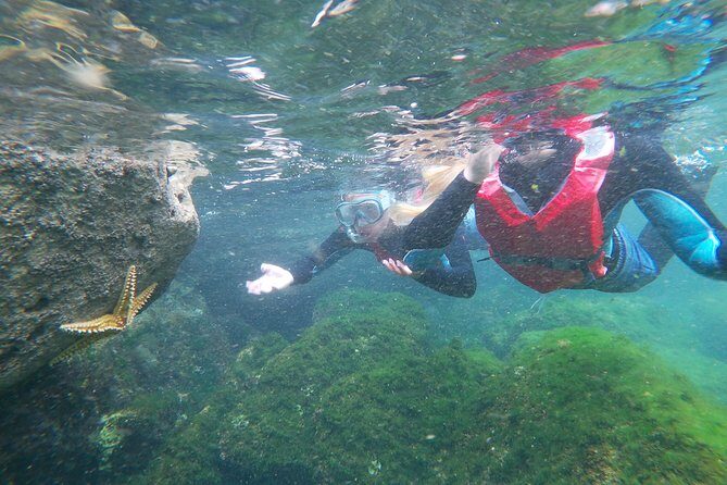 Coasteering adventure with snorkeling: kids version - How the Day Unfolds