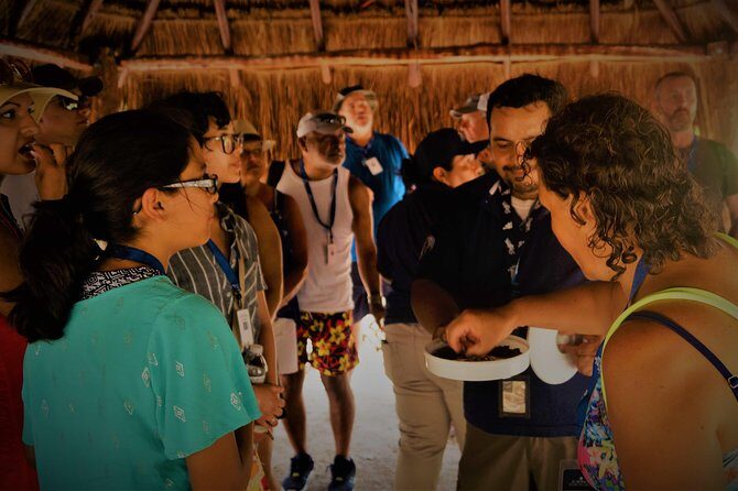 Coba and Tulum, cenote swim and buffet lunch - FAQ