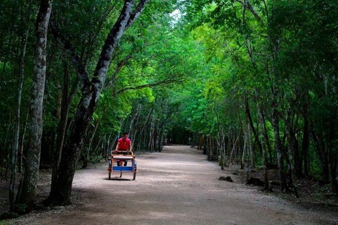 Coba Mayan Ruins and Cenote Cultural Full-Day Tour from Riviera Maya - Wrapping It Up