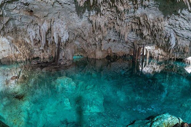 Coba Private Tour  Ancient Ruins & Refreshing Cenote Swim - The Itinerary Breakdown: What to Expect