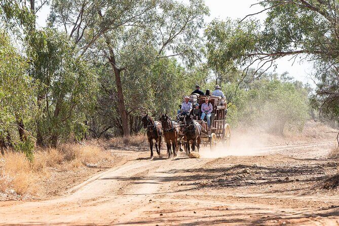 Cobb & Co Stagecoach Experience in Longreach - What Travelers Are Saying: Authentic, Fun, and Occasionally Long-Winded
