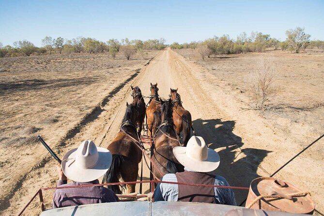 Cobb & Co Stagecoach Experience in Longreach - The Sum Up: Is It Worth It?