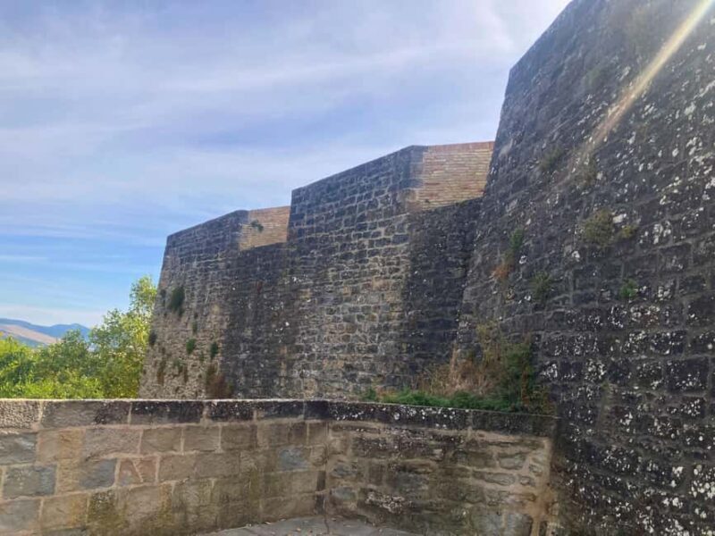 Cobblestones Tour Pamplona: Immersive Medieval Tour English - The Real Deal: A Detailed Look at the Experience