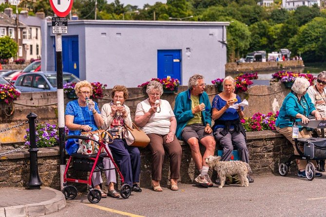 Cobh (Cork) to Blarney Castle & Kinsale - Shore Excursion - Best fit: who should book this excursion?