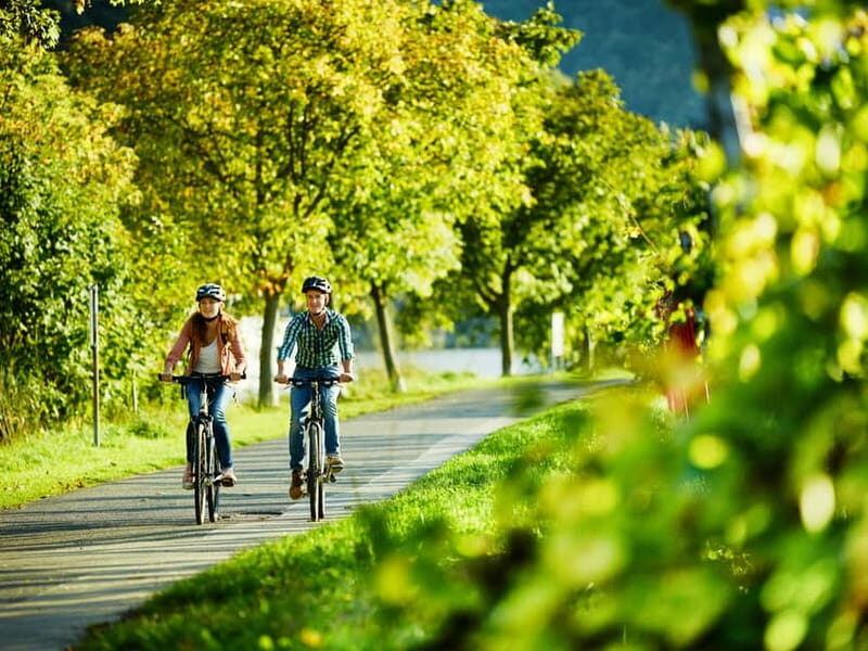 Cochem: Bike and Boat Tour with Picnic and Wine Tasting - What Is This Tour All About?