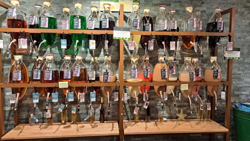 Cochem, Moselle: Boat  Beilstein, meal, wine and liqueur tasting - Is This Tour Right for You?