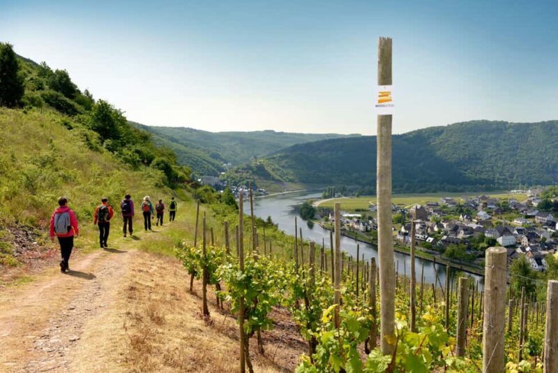 Cochem Wine Adventure Hike - Exploring the Cochem Wine Adventure Hike: A Balanced Look