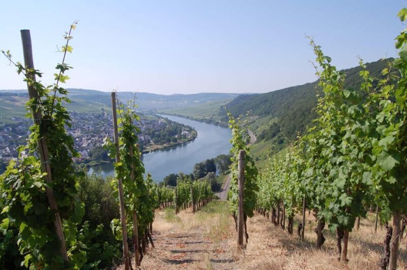 Cochem Wine Adventure Hike - Price and Value