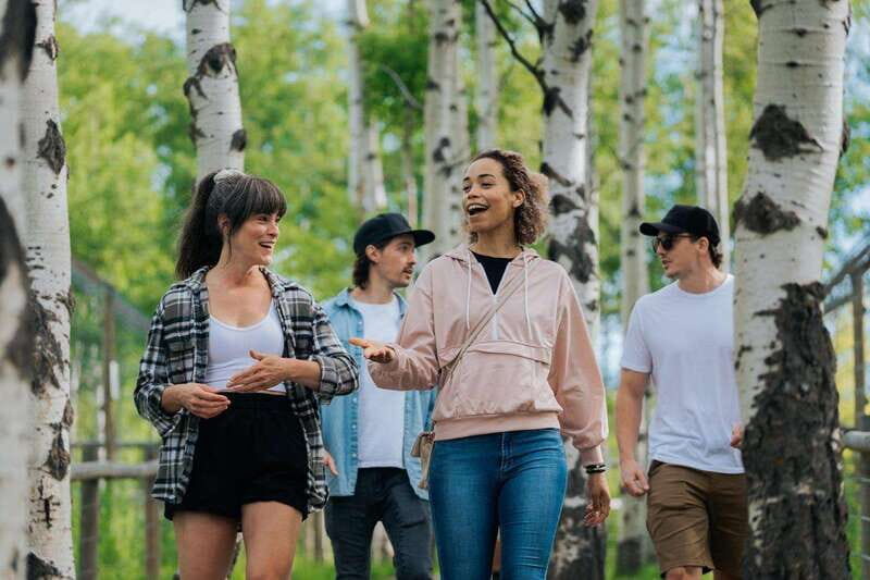 Cochrane: Yamnuska Wolfdog Sanctuary Tour - What is the Yamnuska Wolfdog Sanctuary Tour?