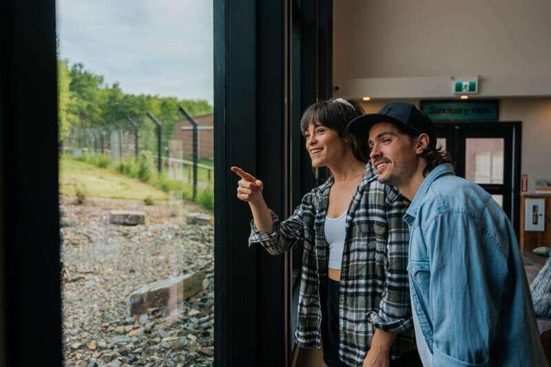 Cochrane: Yamnuska Wolfdog Sanctuary Tour - The Cost and Value