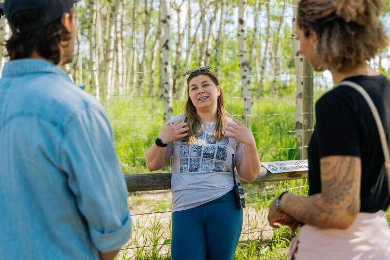 Cochrane: Yamnuska Wolfdog Sanctuary Tour - Accessibility and Practicalities