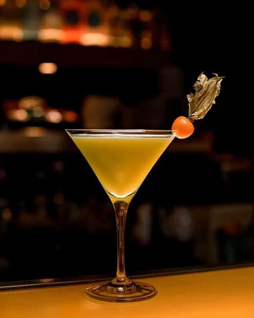 Cocktoil Experience: learn about a journey dedicated to alcohol! - Introduction