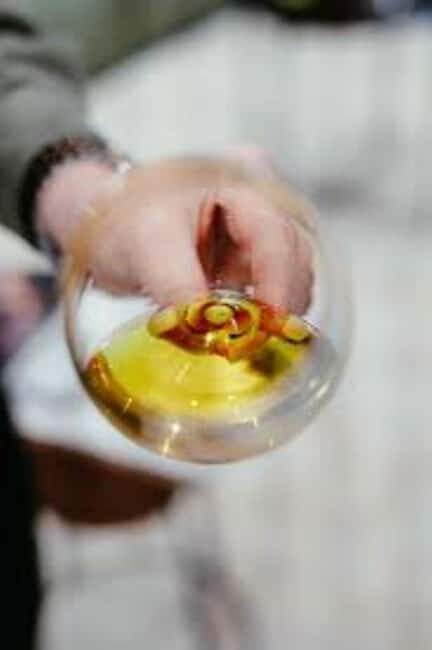 Cocktoil Experience: learn about a journey dedicated to alcohol! - The Itinerary Breakdown