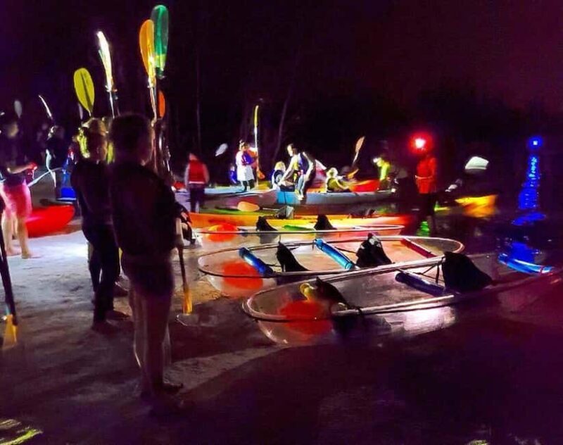 Cocoa Beach: Clear Kayak Sunset & Bioluminescence Tour - Wildlife and Natural Beauty