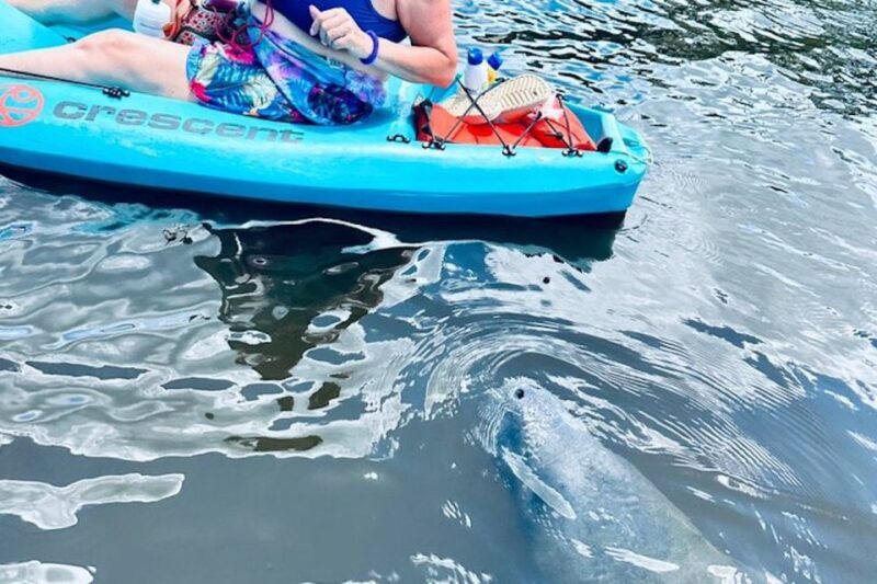 Cocoa Beach: Dolphin and Manatee Kayak or Paddle Tour - FAQ