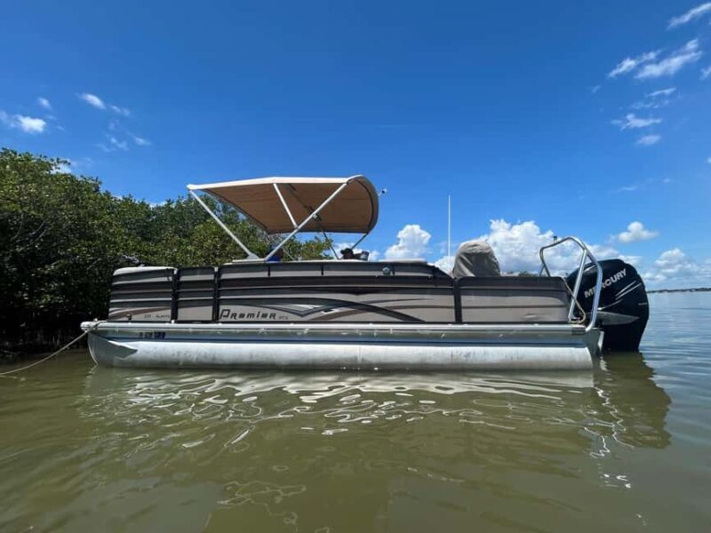 Cocoa Beach: Dolphin & Manatee Pontoon Cruise - The Value of the Experience