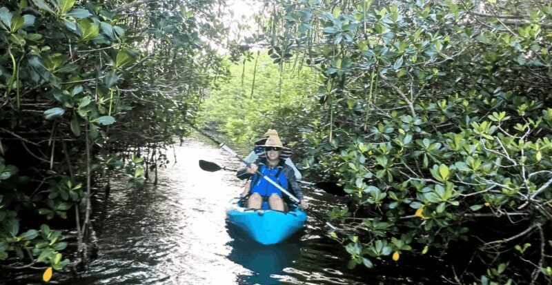 Cocoa Beach/Merritt Island: Guided Dolphin and Manatee Tour - Practical Details