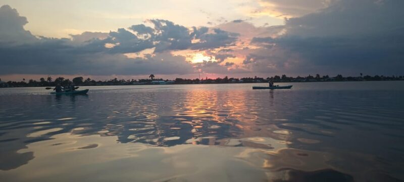 Cocoa Beach/Merritt Island: Guided Dolphin and Manatee Tour - Authentic Feedback from Participants