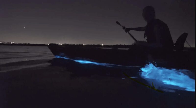 Cocoa Beach/Merritt Island:Bioluminescent kayak tour - Practical Tips for Your Bioluminescent Kayak Adventure