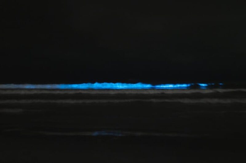 Cocoa Beach/Merritt Island:Bioluminescent kayak tour - Final Thoughts