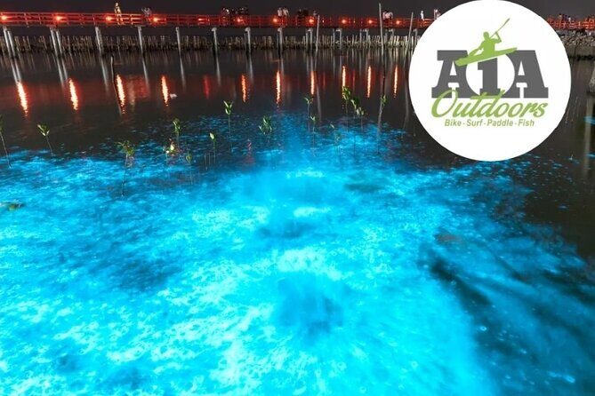 Cocoa Beach Night Time Bioluminescence Kayak Tour - Who Should Consider This Tour?