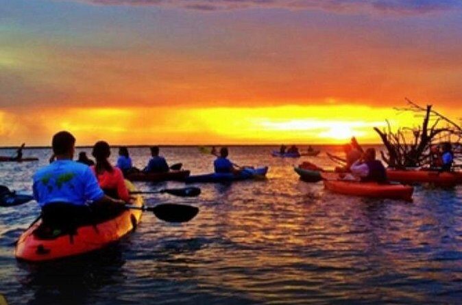 Cocoa Beach Night Time Bioluminescence Kayak Tour - The Bottom Line