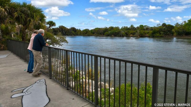 Cocoa Beach: Polaris Slingshot Curated Ride Experience - Practical Details and Considerations
