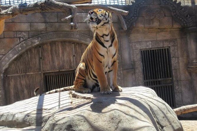 Cocodrilo Park Zoo Admission Ticket in Agüimes - The Sum Up