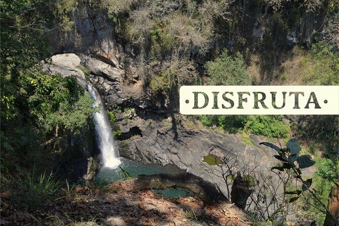 Coffee Museum and Coffee Tour el Cafe-tal apan - Who Should Consider This Tour?