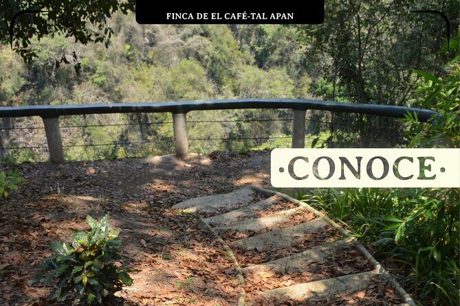 Coffee Museum and Coffee Tour el Cafe-tal apan - FAQ