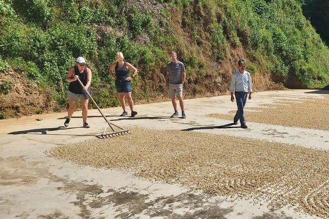 Coffee Plantation Experience - An In-Depth Look at the Coffee Plantation Experience