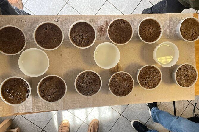 Coffee Sensory Training in Ljubljana - The Experience: What You Can Expect