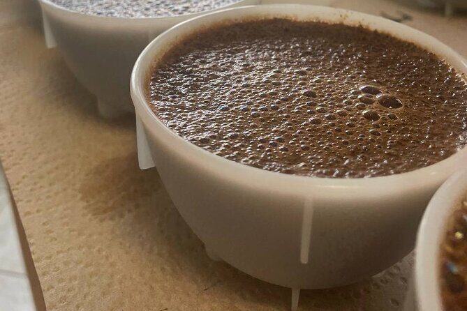 Coffee Sensory Training in Ljubljana - The Coffee and Tasting Experience